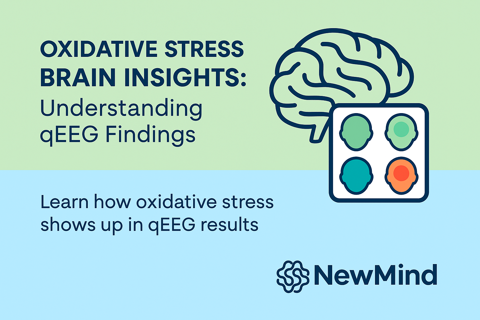 Oxidative Stress and the Brain